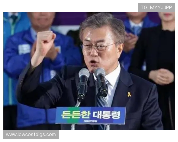 半岛网站独家揭秘南北关系新动态,推动和平发展新篇章