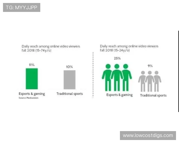 十博体育用户评价与口碑分析:真实玩家的使用体验与建议分享