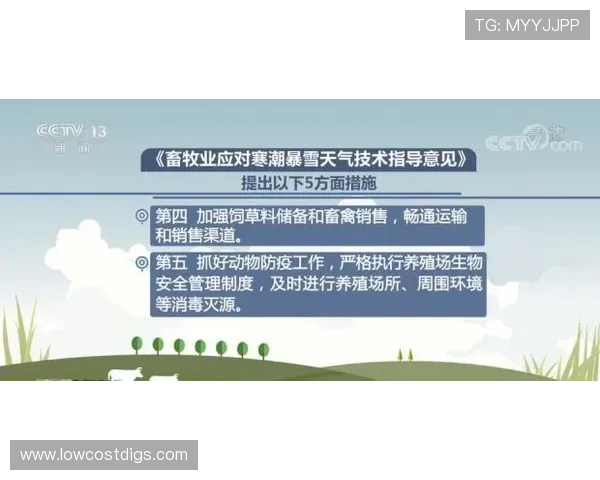 浩瀚体育登陆遇到登录困难的应对策略及技术支持