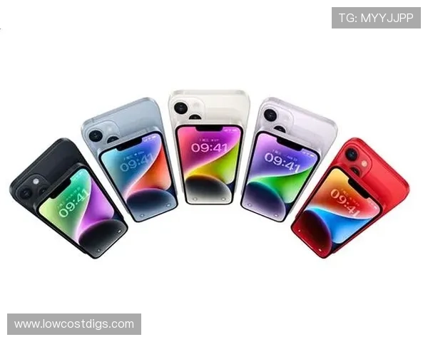 B体育官网下载入口，快速下载安装流程详解，助你轻松开启精彩体育赛事