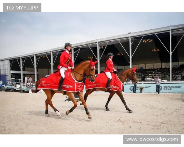 中欧体育网提供欧洲体育赛事的观赛攻略与中国观众的文化交流指南